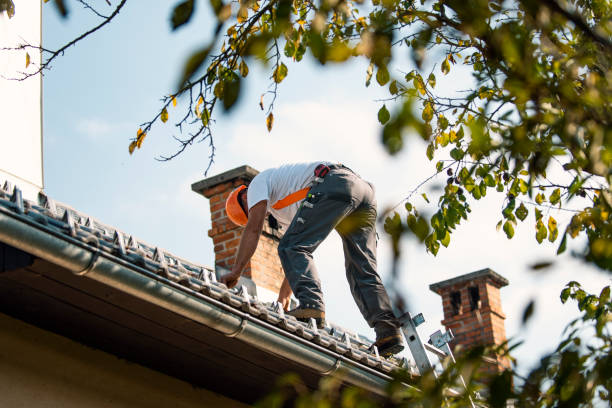 Best Commercial Roofing Services  in Biscoe, NC