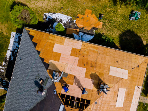Best Shingle Roofing Installation  in Biscoe, NC