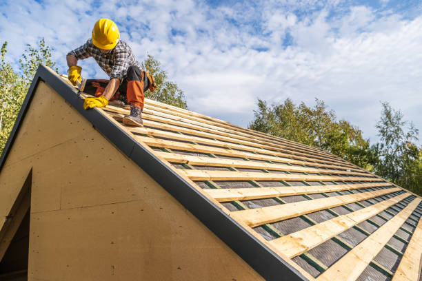 Best Roof Restoration Services  in Biscoe, NC