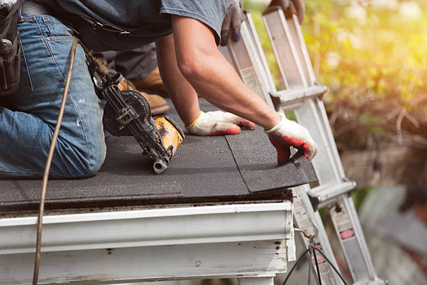 Best Metal Roofing Contractor  in Biscoe, NC