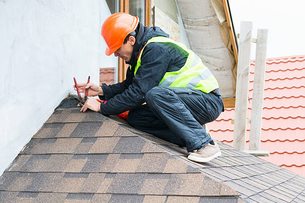 Best Roof Gutter Cleaning  in Biscoe, NC