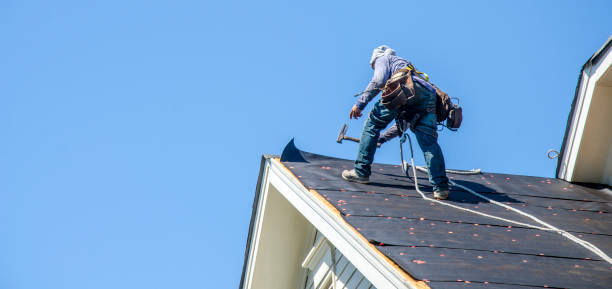 Best Commercial Roofing Services  in Biscoe, NC