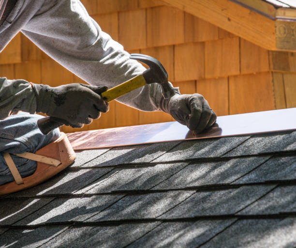 Best Residential Roof Replacement  in Biscoe, NC
